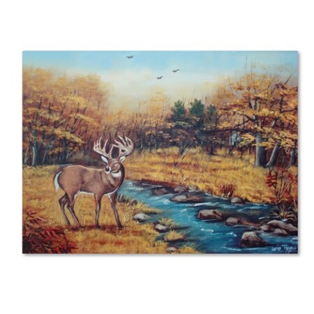 Trademark Fine Art Arie Reinhardt Taylor 'Monarch' Canvas Art, 24x32 ALI15604-C2432GG